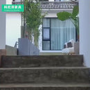 Douyin's Bunny Princess Bed